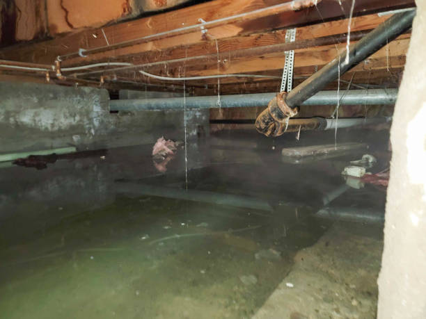 Best Ceiling water damage repair  in West Van Lear, KY