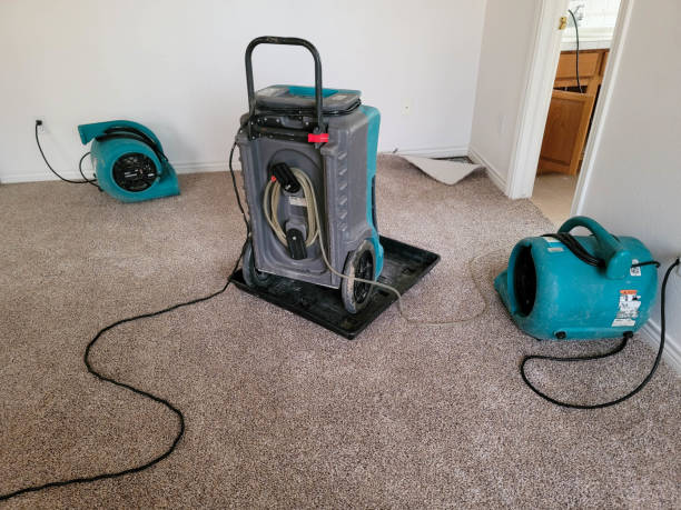 West Van Lear, KY Water damage restoration Company