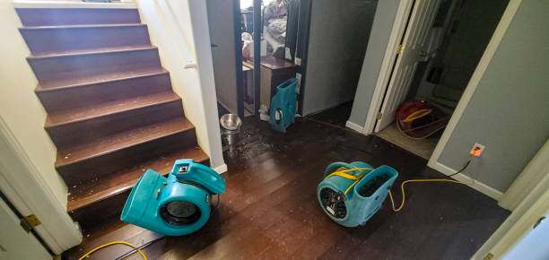 Best Flooded house restoration  in West Van Lear, KY