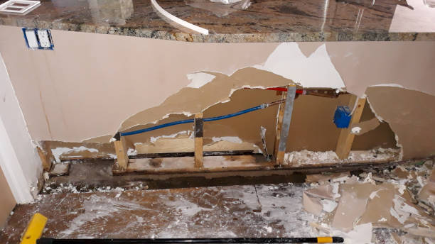 Best Flood damage cleanup  in West Van Lear, KY