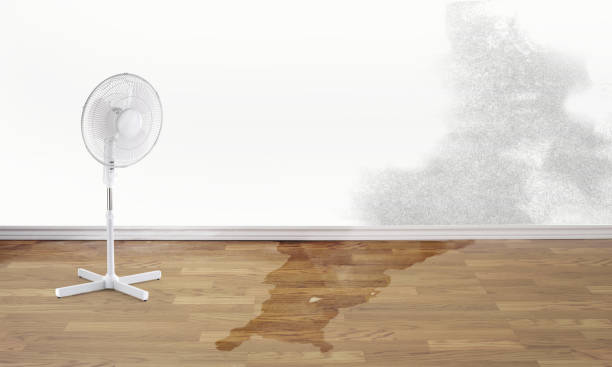 Best Fire Damage Restoration  in West Van Lear, KY