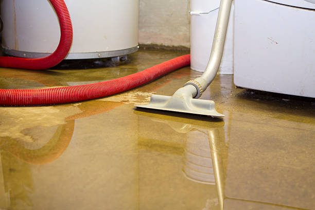 Best Basement water damage restoration  in West Van Lear, KY