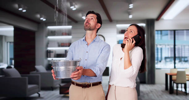 Best Water damage restoration near me  in West Van Lear, KY